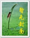 神魔殺